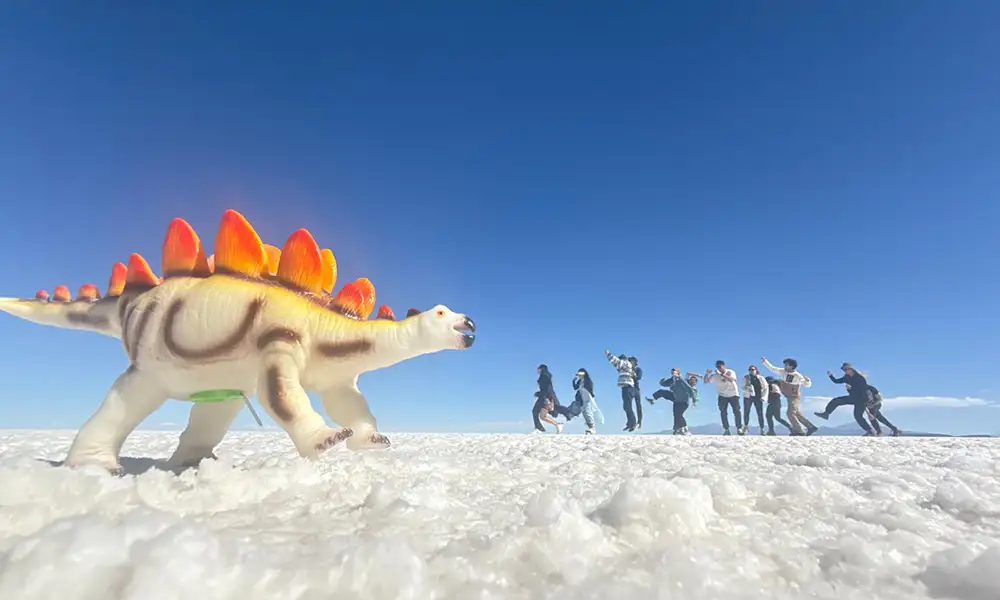 Tour Salar de Uyuni 3 Dias / 2 Noites