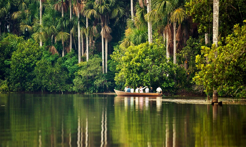 Selva Viva: Aventura em Tambopata & Collpa Chuncho 4D/3N