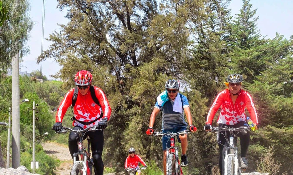 Bicycle Tour to the Virgin of Chapi | Andean Adventure