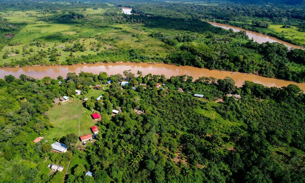 Tour Campamento Pariamanu 2D/1N
