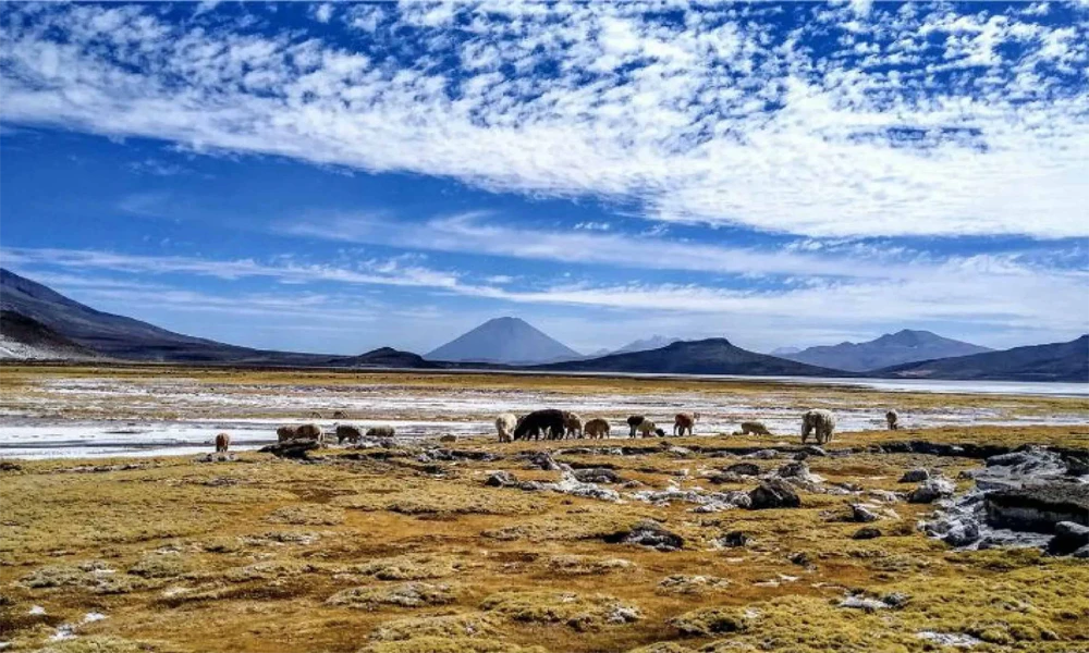 Choqolaqa Stone City | Full Day Tour Arequipa