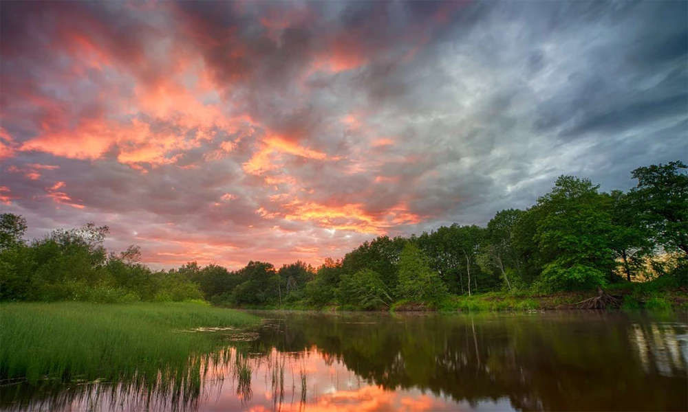 Sunset & Capybara Spotting Tour