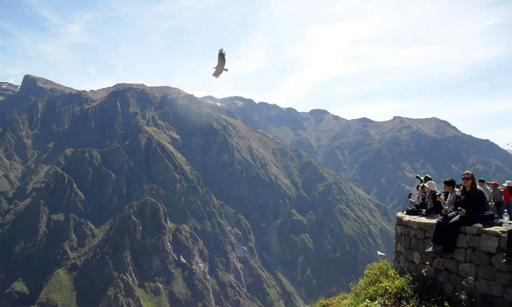 Tour Cañón del Colca 2 Días con Conexión a Puno