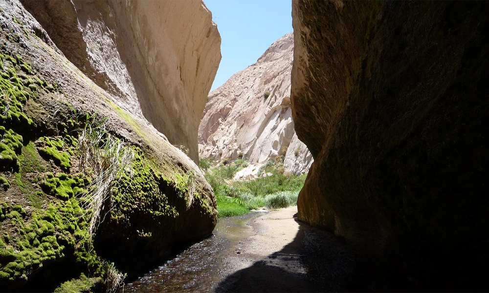 Excursion to the Capua waterfalls and the Yura hot springs | Nature adventure
