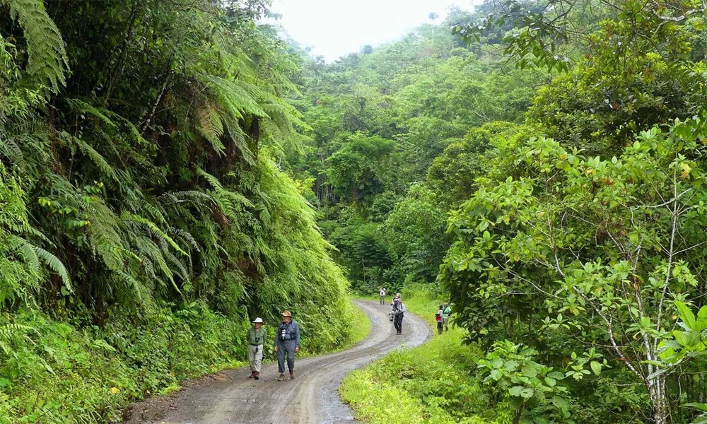 Tour Selva del Manu 3 Días | Naturaleza y Biodiversidad