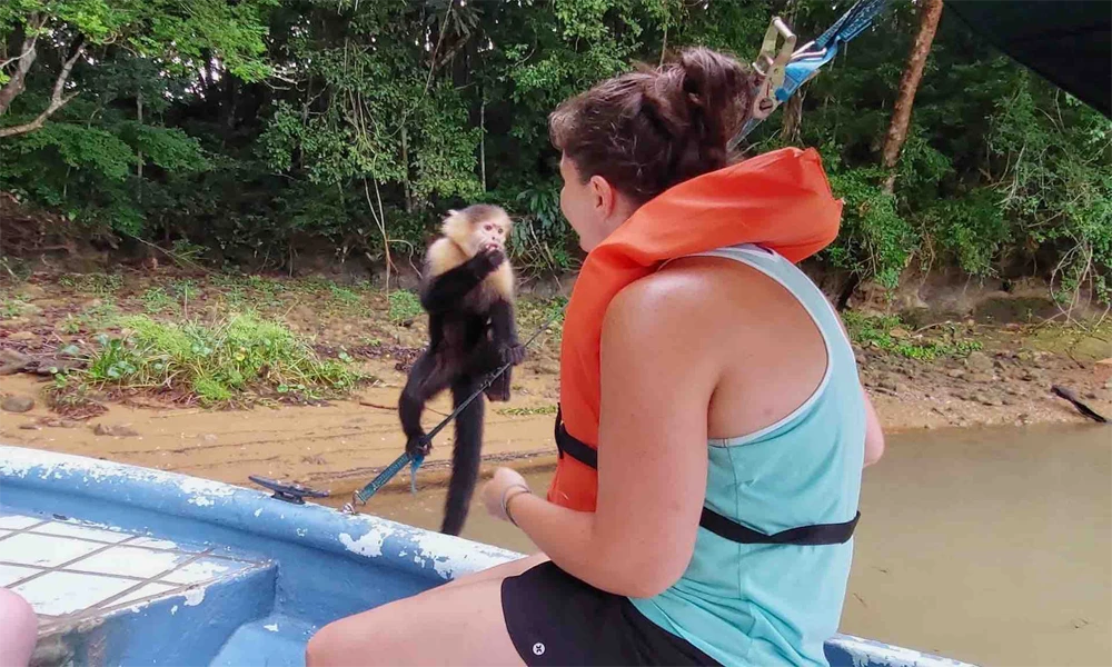 Refugio de Monos y Delfines en el Amazonas