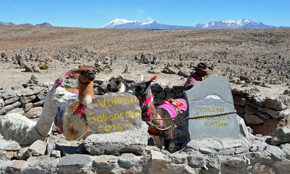 Colca Canyon Excursion (2 days/1 night) | Nature, culture and condors