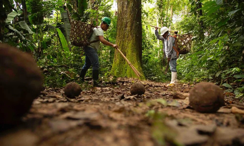 Reserva de Tamshiyacu | Aventura Amazónica 6 D/ 5N