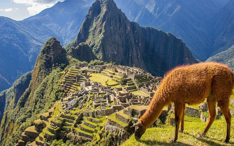 Excursão de 1 dia a Machu Picchu / Saindo de Cusco