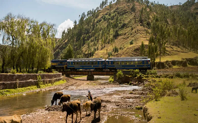 Excursão de 1 dia a Machu Picchu / Saindo de Cusco