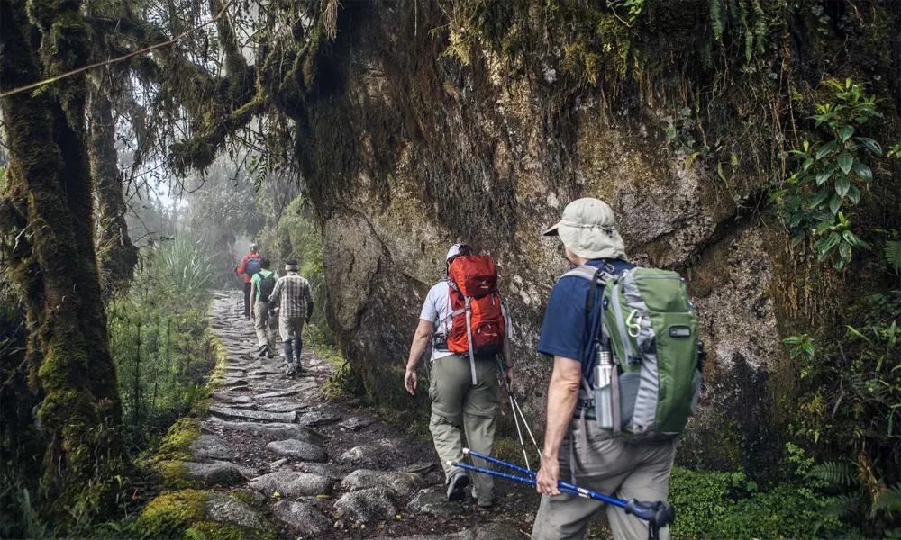 Salkantay Trek 2D| Caminata Montañas Glaciares y Selva Andina