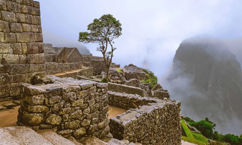 Salkantay Trek 2D | Hike through Glaciers, Mountains, and Andean Rainforest