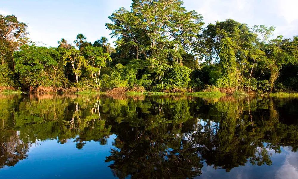 Pacaya Samiria National Reserve – 3D/ 2N