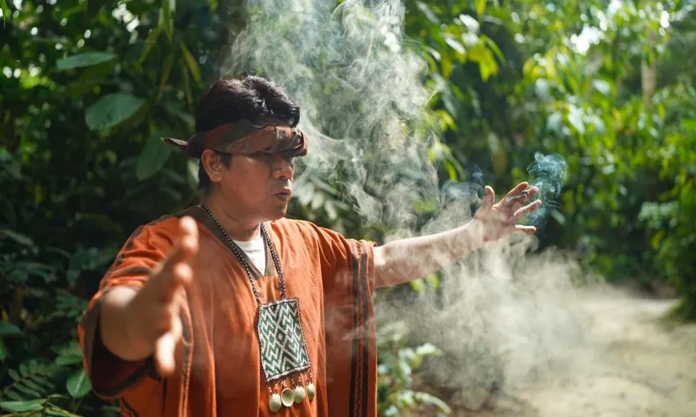 Healing: Ayahuasca Ceremony in Tambopata | 2 Days/ 1 Night