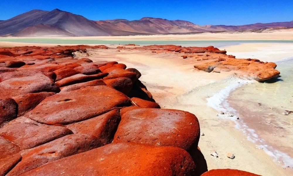 Piedras Rojas, Lagunas Altiplanicas and Laguna Chaxa