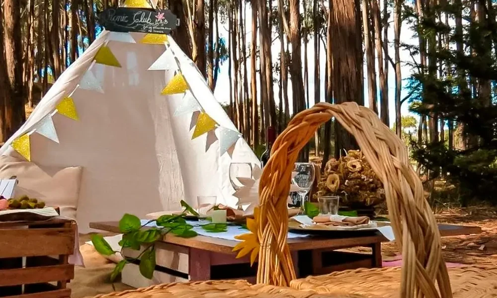 Passeio de Piquenique na Natureza e Oficina de Pintura de Touros | Tradição Andina e Natureza