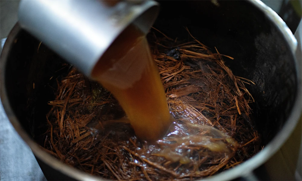 Cura: Cerimônia de Ayahuasca em Tambopata | 2 dias/ 1 noite