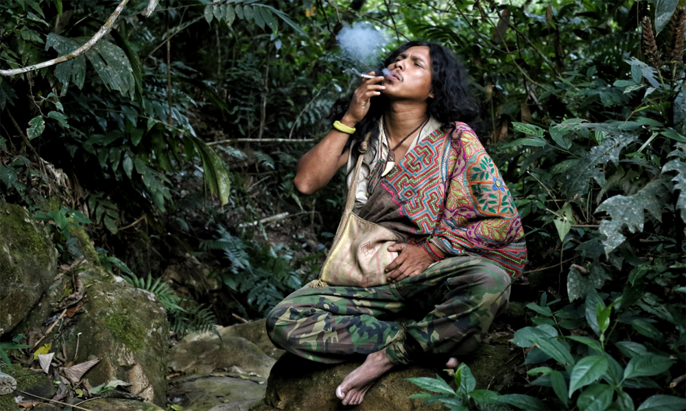 Cura: Cerimônia de Ayahuasca em Tambopata | 2 dias/ 1 noite