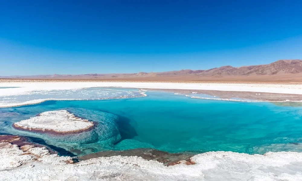 Excursión “Lagunas Escondidas de Baltinache – Belleza Oculta del Desierto”