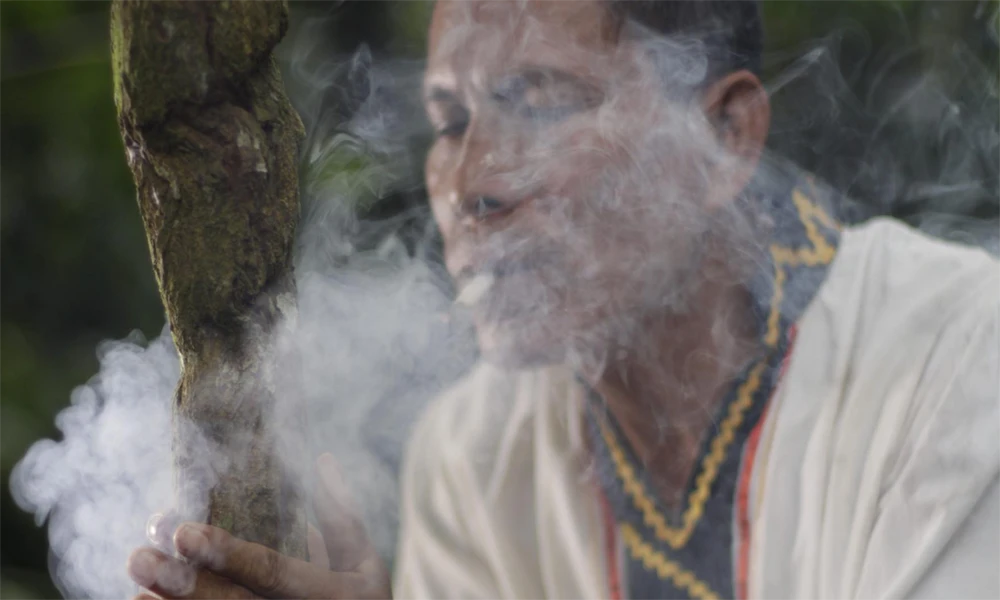 Retiro de 3 dias com Ayahuasca em Cusco | Cura e Conexão Espiritual