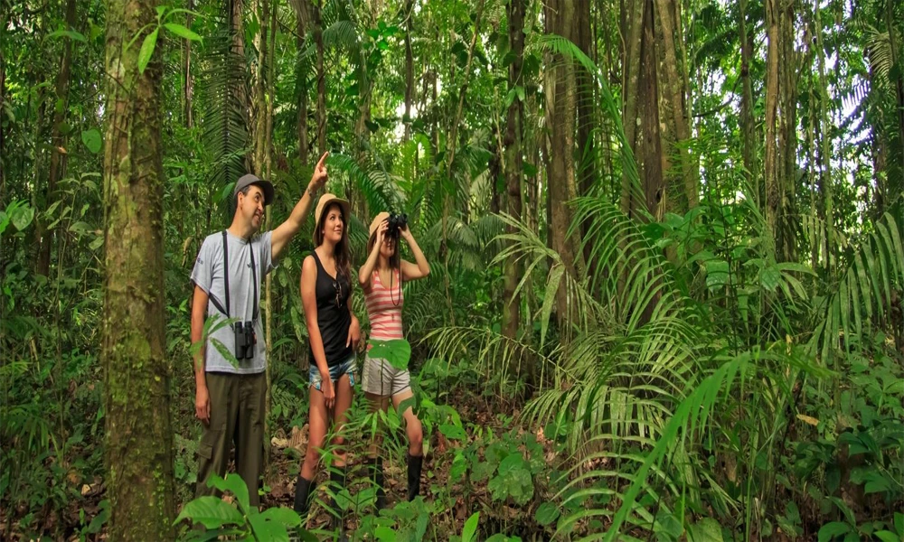 Lago Sandoval: Trekking e aventura na Amazônia