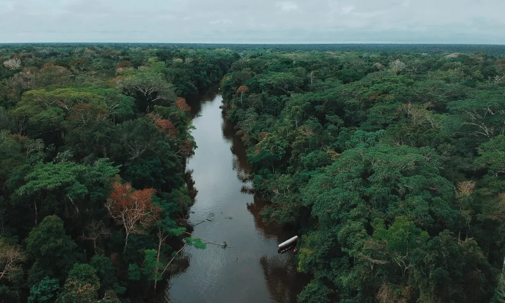 Reserva Tamshiyacu | Aventura na Amazônia: 6 dias/5 noites