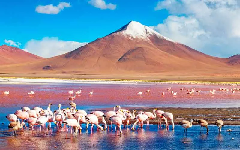Excursão ao Salar de Uyuni 3D- 2N saindo de Uyuni