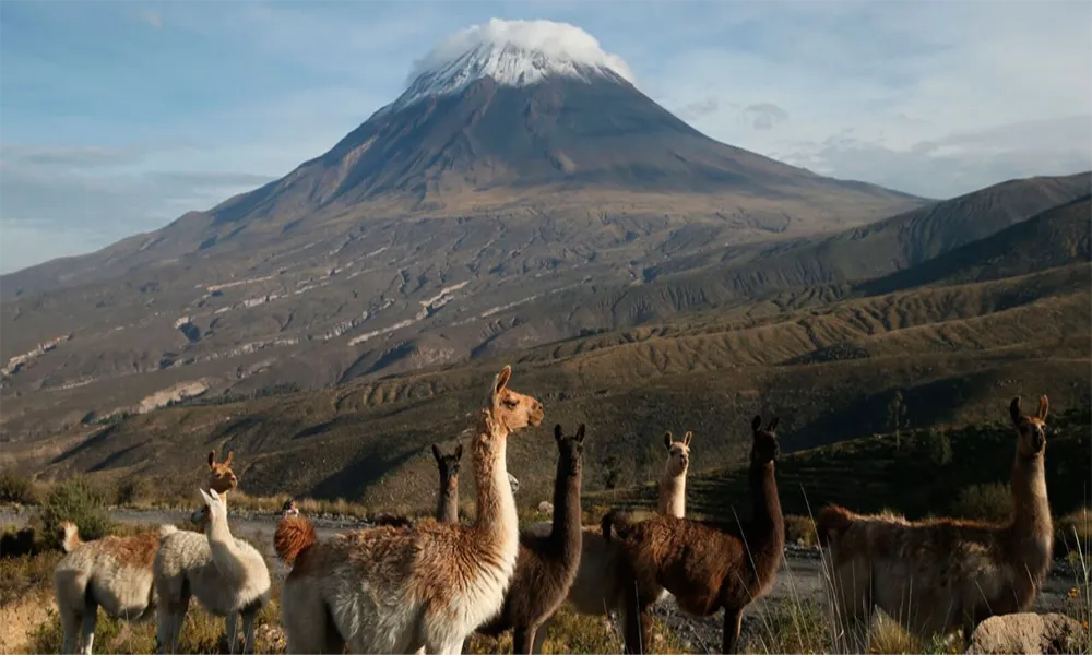 Trekking ao Vulcão Misti (2 dias/1 noite)