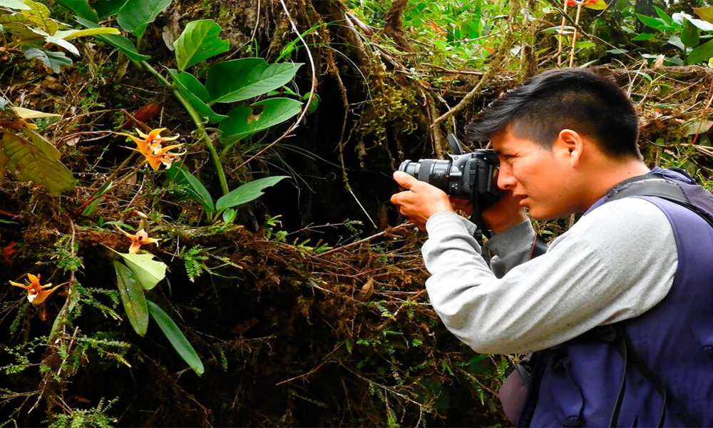 Excursão de 3 dias pela Floresta Amazônica de Manu saindo de Cusco.