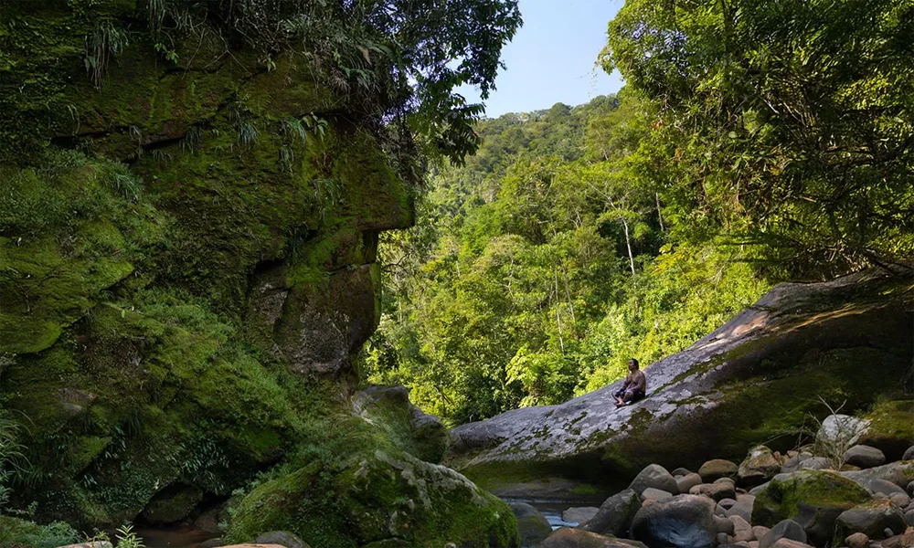 Reserva Tamshiyacu | Aventura na Amazônia: 6 dias/5 noites