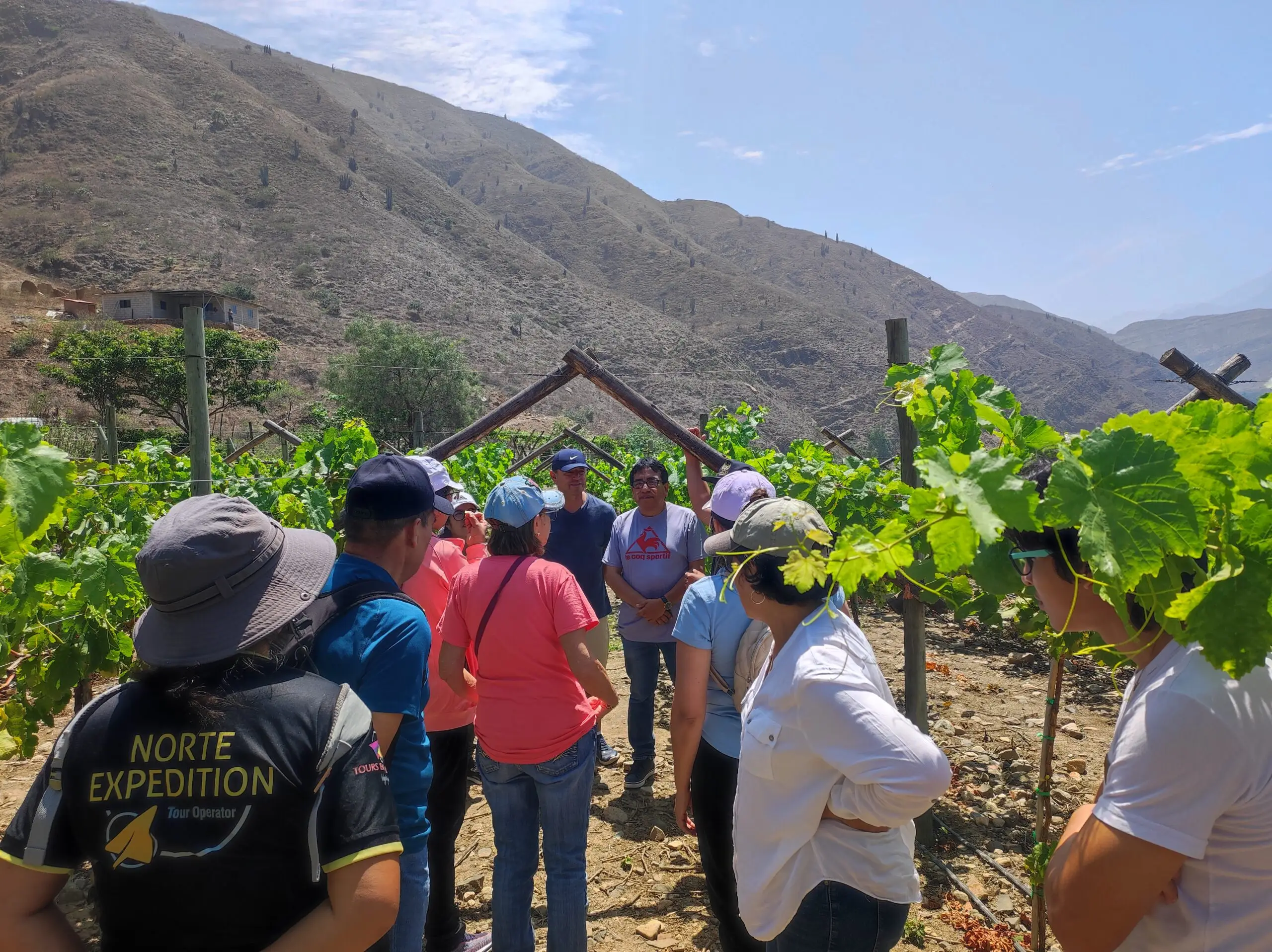 Ruta del Vino – Cascas Full Day | Degustación – Viñedos