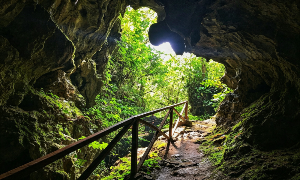 Excursión a Santa Elena y Cuevas Palestinas | Full Day-Tarapoto