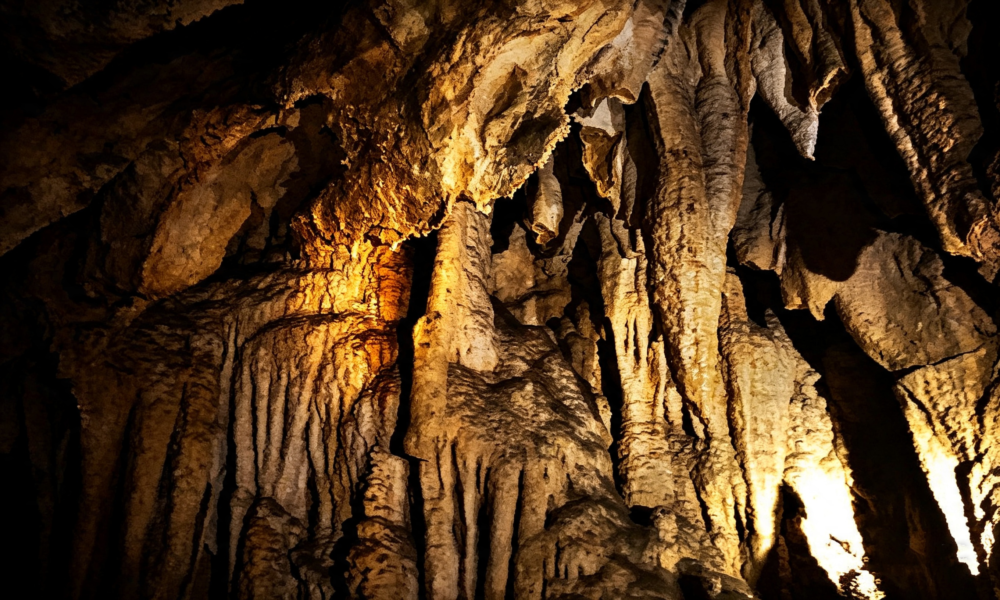 Excursión a Santa Elena y Cuevas Palestinas | Full Day-Tarapoto