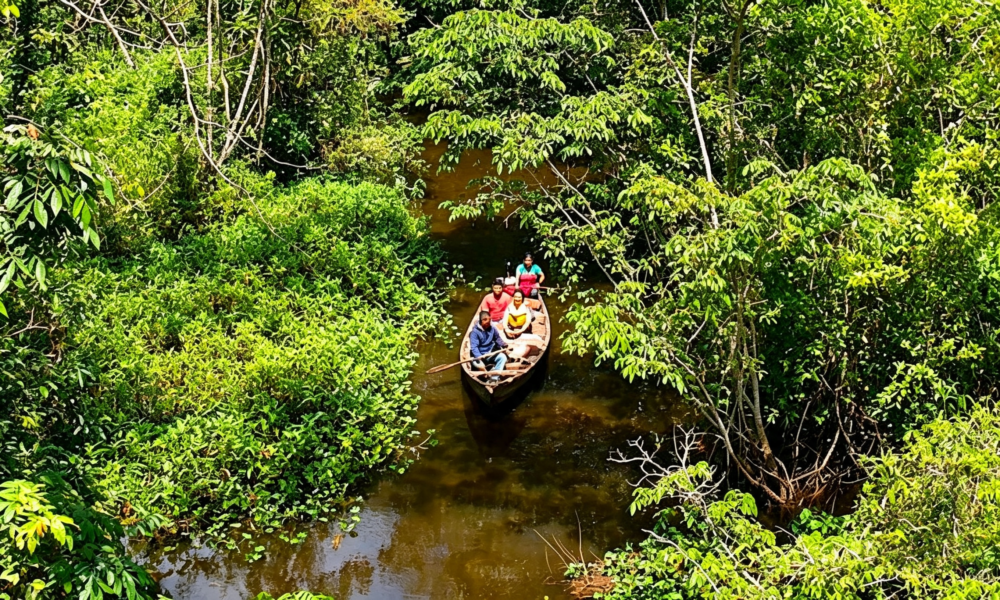 Excursión a Santa Elena y Cuevas Palestinas | Full Day-Tarapoto
