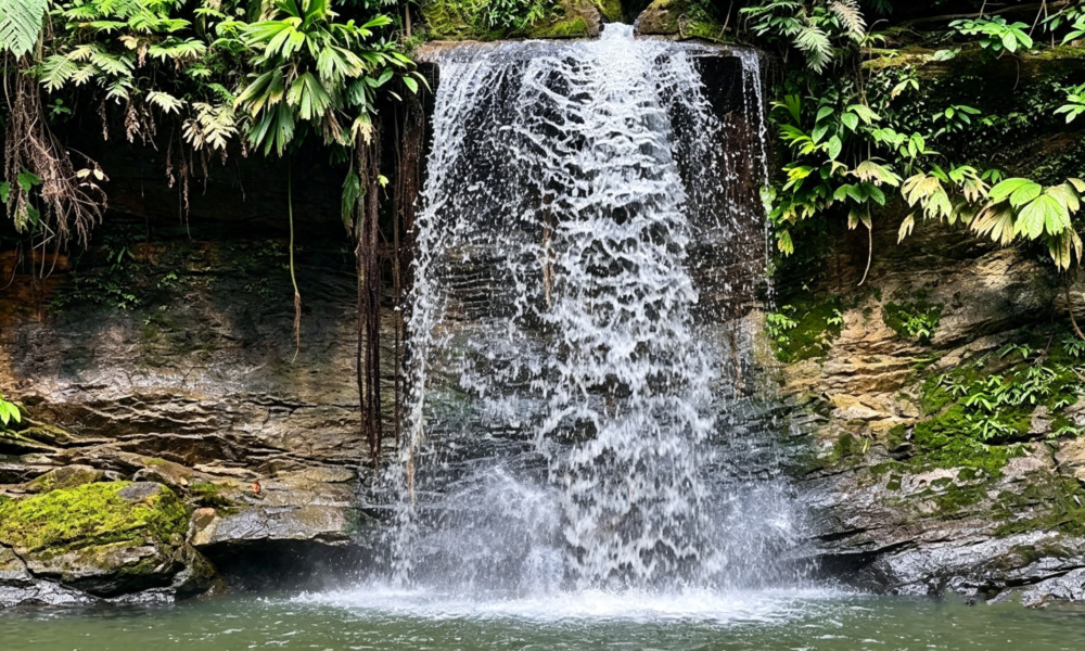 Excursión a la Catarata de Carpishuyacu | Baños Termales