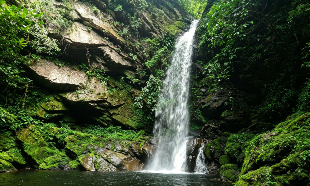 Tour catarata de Huacamaillo | Almuerzo tipo picnic | Tarapoto