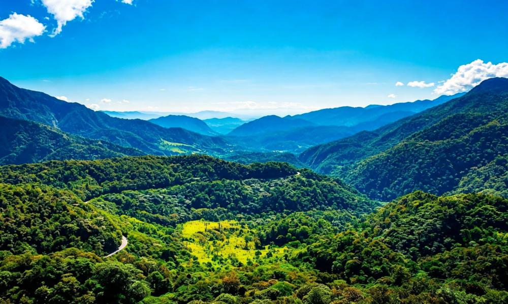 Tarapoto + Chachapoyas 9D/8N | Ciudad de las Orquideas