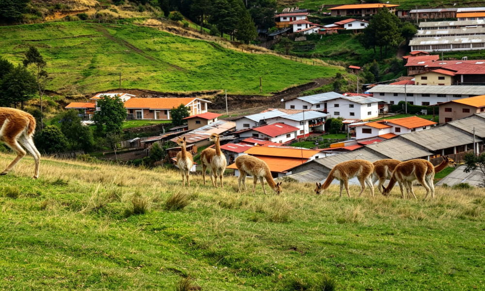 Cajamarca + Chachapoyas: 7 dias e 6 noites
