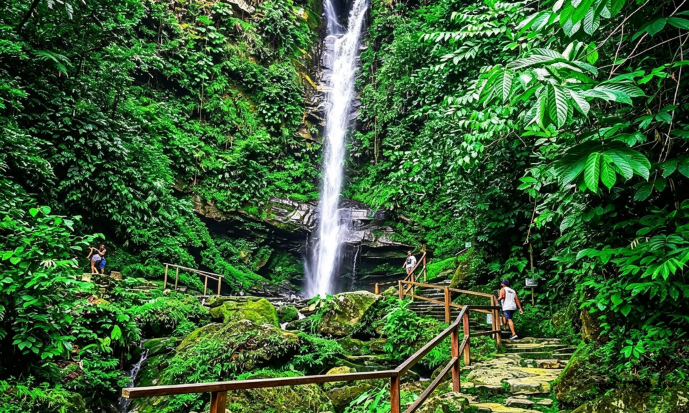 Tarapoto Rainforest + Chachapoyas Tour | 6 days and 5 nights