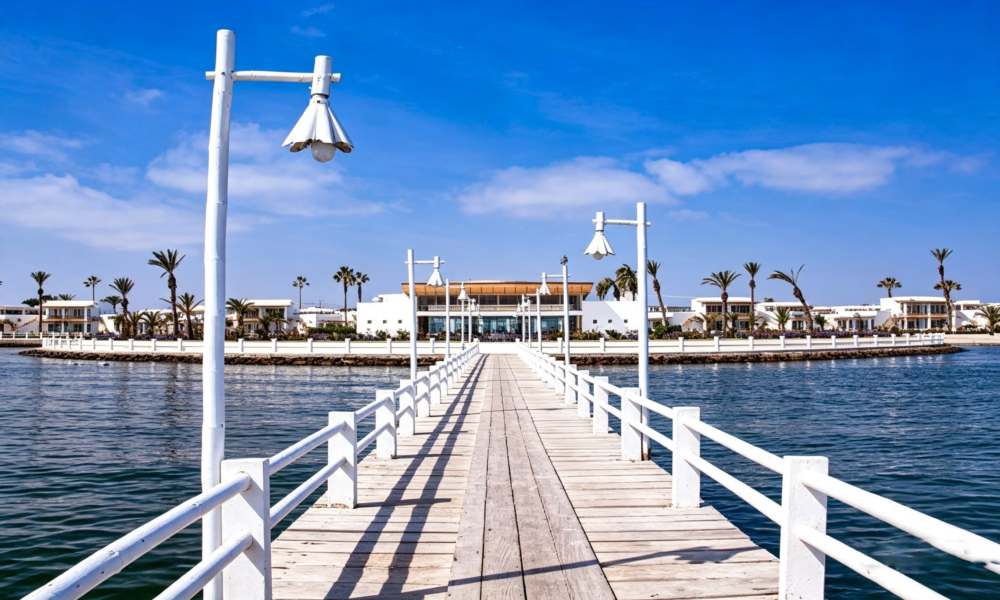 Ballestas Islands Tour + Paracas National Reserve