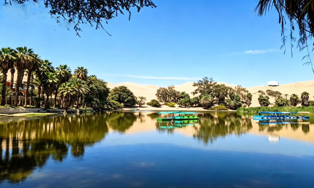 Camel Tour in Ica | Additional Entertainment