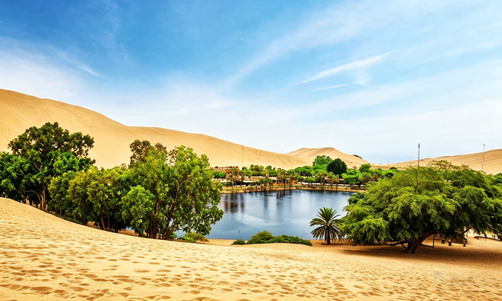 Camel Tour in Ica | Additional Entertainment