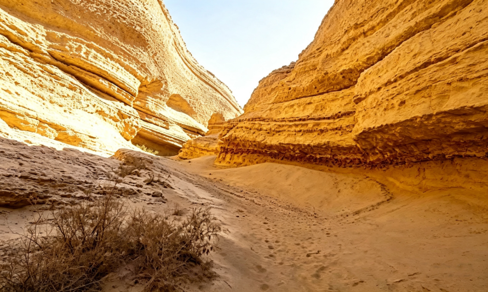 Excursión Cañon de los Perdidos | Desierto de Ocucaje – Ica