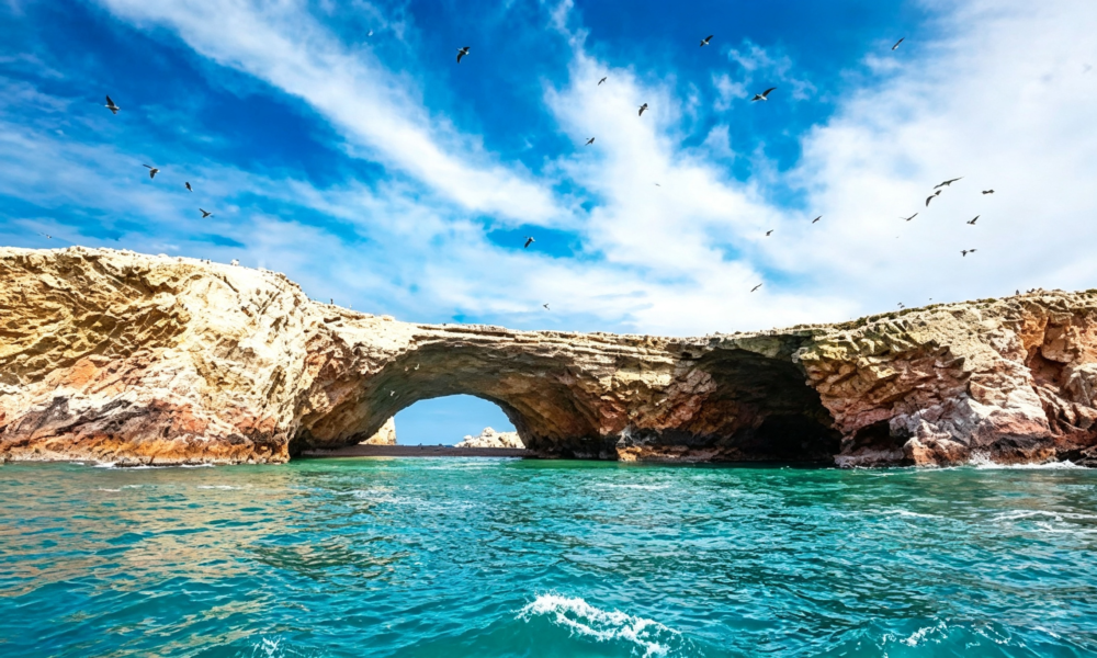 Excursão clássica de dia inteiro a Paracas-Ica | Privada