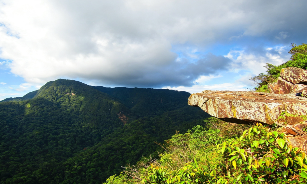 Excursion to the Ahuashiyacu Waterfall in the Conservation Area
