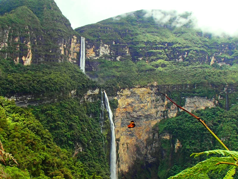 Tarapoto Rainforest + Chachapoyas Tour | 6 days and 5 nights