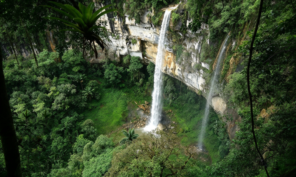 Trekking a Cataratas de Yumbilla y Chinatade | Cuispes